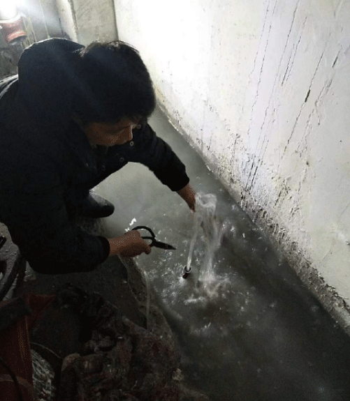 张家口阳原县防水堵漏
